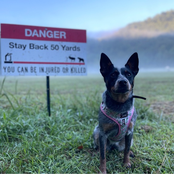 Me!! 💁🏻‍♀️🌸✨🦈 - Picture 16 of 16